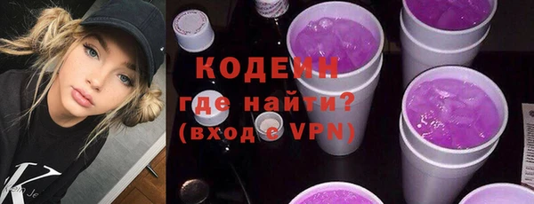 индика Богородицк