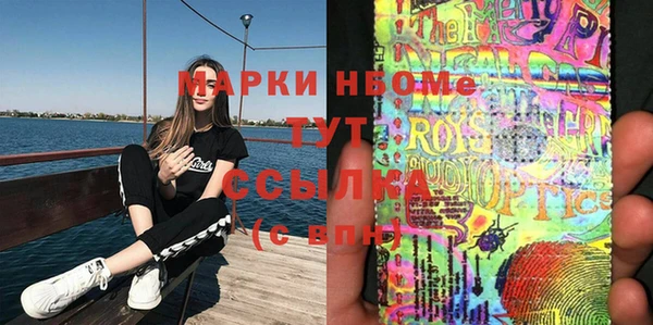 прущие грибы Новодвинск