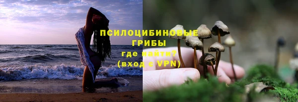 кристаллы Новозыбков