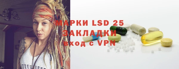 индика Богородицк