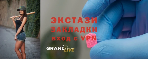 индика Богородицк