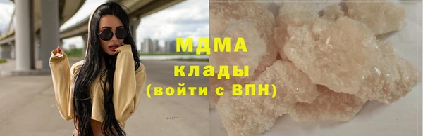 индика Богородицк