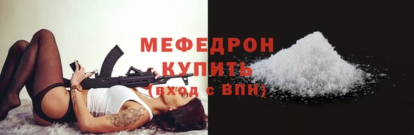 индика Богородицк