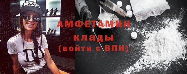 индика Богородицк