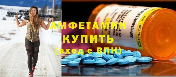 индика Богородицк