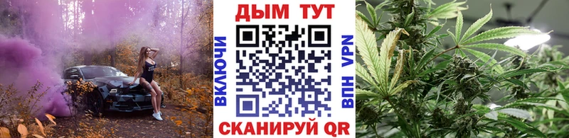 Бошки марихуана Amnesia Микунь